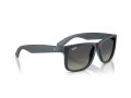Ray-Ban Justin Aurinkolasit RB 4165 681311