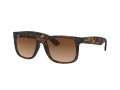 Ray-Ban Justin Aurinkolasit RB 4165 710/13