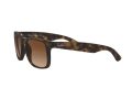 Ray-Ban Justin Aurinkolasit RB 4165 710/13