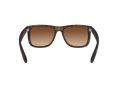 Ray-Ban Justin Aurinkolasit RB 4165 710/13