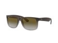 Ray-Ban Justin Aurinkolasit RB 4165 854/7Z