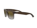Ray-Ban Justin Aurinkolasit RB 4165 854/7Z
