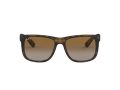 Ray-Ban Justin Aurinkolasit RB 4165 865/T5