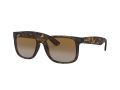 Ray-Ban Justin Aurinkolasit RB 4165 865/T5
