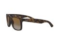 Ray-Ban Justin Aurinkolasit RB 4165 865/T5