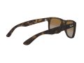 Ray-Ban Justin Aurinkolasit RB 4165 865/T5