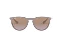 Ray-Ban Erika Aurinkolasit RB 4171 6000/68
