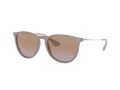 Ray-Ban Erika Aurinkolasit RB 4171 6000/68