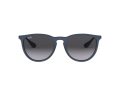 Ray-Ban Erika Aurinkolasit RB 4171 6002/8G