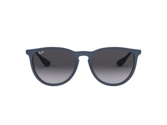Ray-Ban Erika Aurinkolasit RB 4171 6002/8G