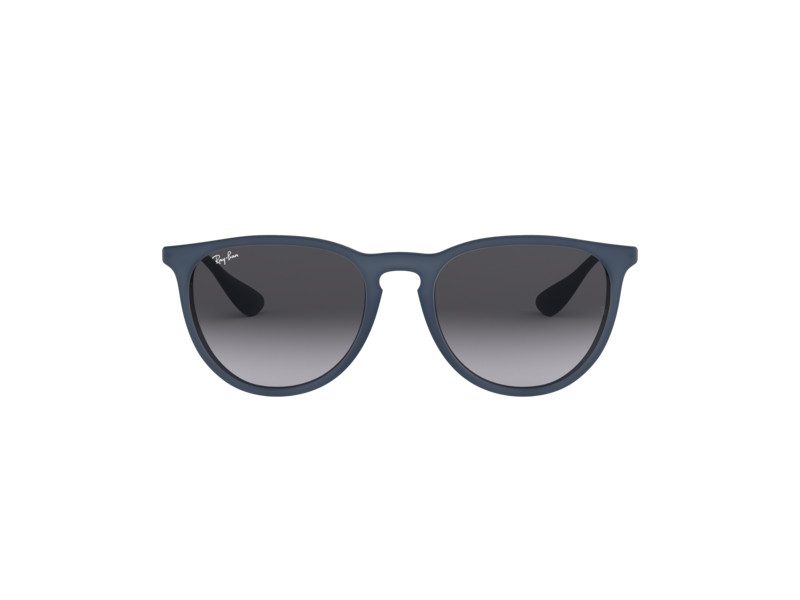 Ray-Ban Erika Aurinkolasit RB 4171 6002/8G