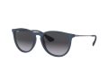 Ray-Ban Erika Aurinkolasit RB 4171 6002/8G