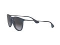 Ray-Ban Erika Aurinkolasit RB 4171 6002/8G