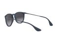 Ray-Ban Erika Aurinkolasit RB 4171 6002/8G