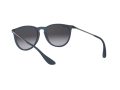 Ray-Ban Erika Aurinkolasit RB 4171 6002/8G