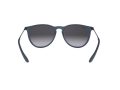 Ray-Ban Erika Aurinkolasit RB 4171 6002/8G