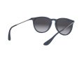 Ray-Ban Erika Aurinkolasit RB 4171 6002/8G