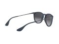 Ray-Ban Erika Aurinkolasit RB 4171 6002/8G