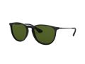 Ray-Ban Erika Aurinkolasit RB 4171 601/2P