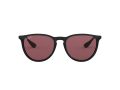 Ray-Ban Erika Aurinkolasit RB 4171 601/5Q