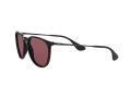 Ray-Ban Erika Aurinkolasit RB 4171 601/5Q