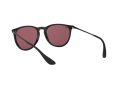 Ray-Ban Erika Aurinkolasit RB 4171 601/5Q