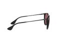 Ray-Ban Erika Aurinkolasit RB 4171 601/5Q