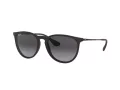 Ray-Ban Erika Aurinkolasit RB 4171 622/8G