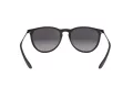 Ray-Ban Erika Aurinkolasit RB 4171 622/8G
