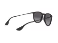 Ray-Ban Erika Aurinkolasit RB 4171 622/8G