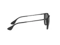 Ray-Ban Erika Aurinkolasit RB 4171 622/8G