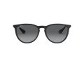 Ray-Ban Erika Aurinkolasit RB 4171 622/T3