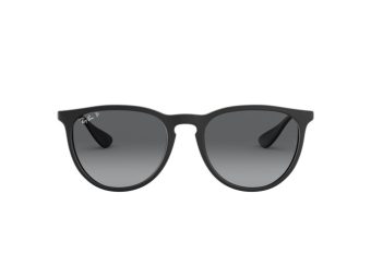 Ray-Ban Erika Aurinkolasit RB 4171 622/T3