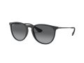 Ray-Ban Erika Aurinkolasit RB 4171 622/T3