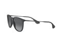 Ray-Ban Erika Aurinkolasit RB 4171 622/T3