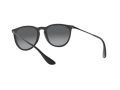Ray-Ban Erika Aurinkolasit RB 4171 622/T3