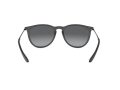 Ray-Ban Erika Aurinkolasit RB 4171 622/T3