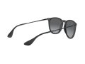 Ray-Ban Erika Aurinkolasit RB 4171 622/T3
