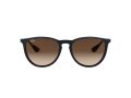 Ray-Ban Erika Aurinkolasit RB 4171 6315/13