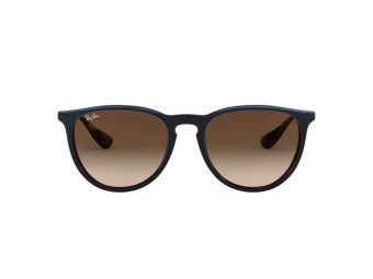 Ray-Ban Erika Aurinkolasit RB 4171 6315/13
