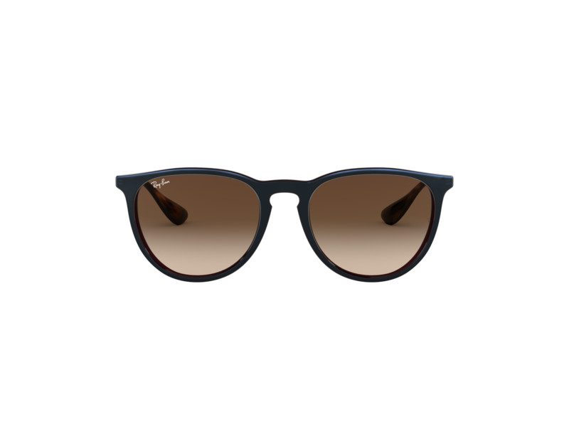 Ray-Ban Erika Aurinkolasit RB 4171 6315/13
