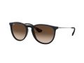 Ray-Ban Erika Aurinkolasit RB 4171 6315/13