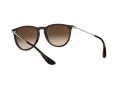 Ray-Ban Erika Aurinkolasit RB 4171 6315/13