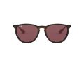 Ray-Ban Erika Aurinkolasit RB 4171 6391/75