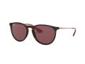 Ray-Ban Erika Aurinkolasit RB 4171 6391/75