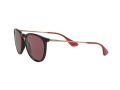 Ray-Ban Erika Aurinkolasit RB 4171 6391/75