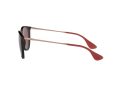 Ray-Ban Erika Aurinkolasit RB 4171 6391/75