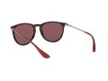Ray-Ban Erika Aurinkolasit RB 4171 6391/75