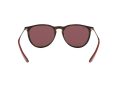 Ray-Ban Erika Aurinkolasit RB 4171 6391/75