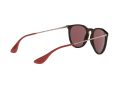 Ray-Ban Erika Aurinkolasit RB 4171 6391/75